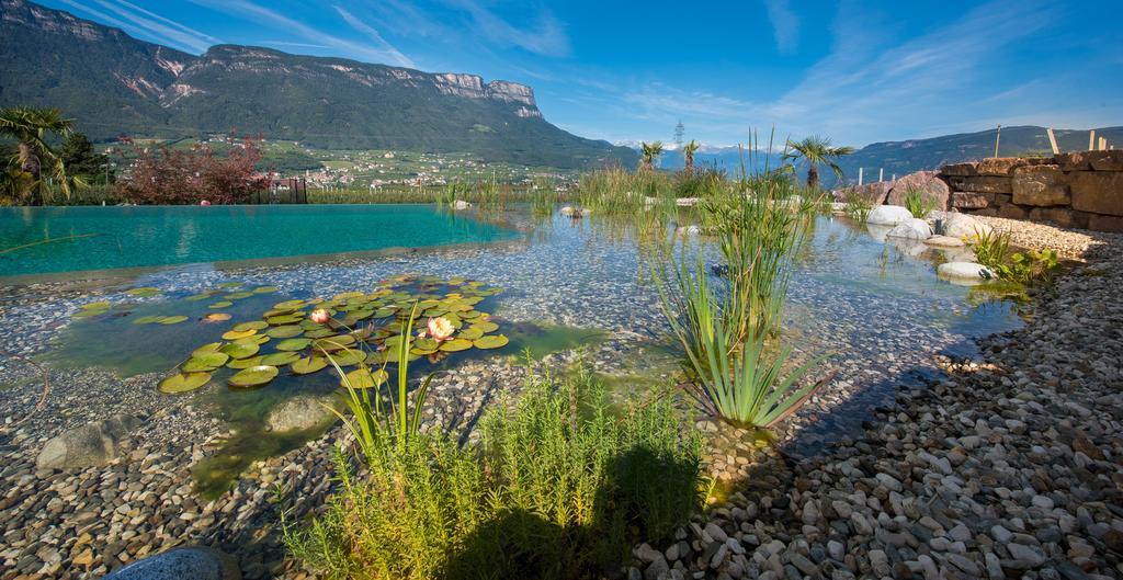 Lavendelhof Διαμέρισμα Appiano Sulla Strada Del Vino Εξωτερικό φωτογραφία